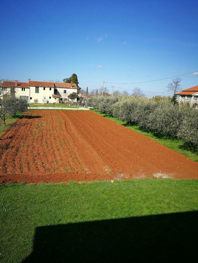 Ljubica Lägenhet Žbandaj Exteriör bild